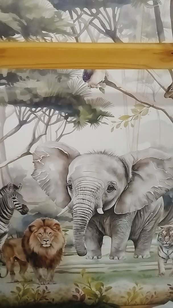 Avaliação de Bgdfjgjbfdhjbcj sobre Safari Realista entre Acácias