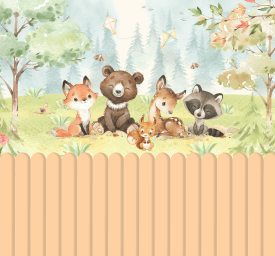 Safari