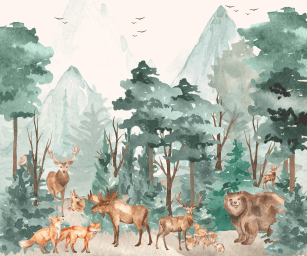 Safari
