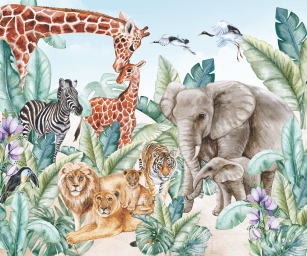 Safari Animais Selva