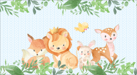 Safari