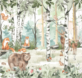 Safari