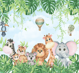 Safari