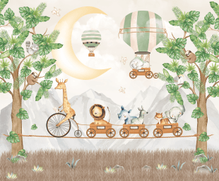Animais e Bicicletas