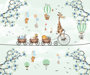 Animais e Bicicletas