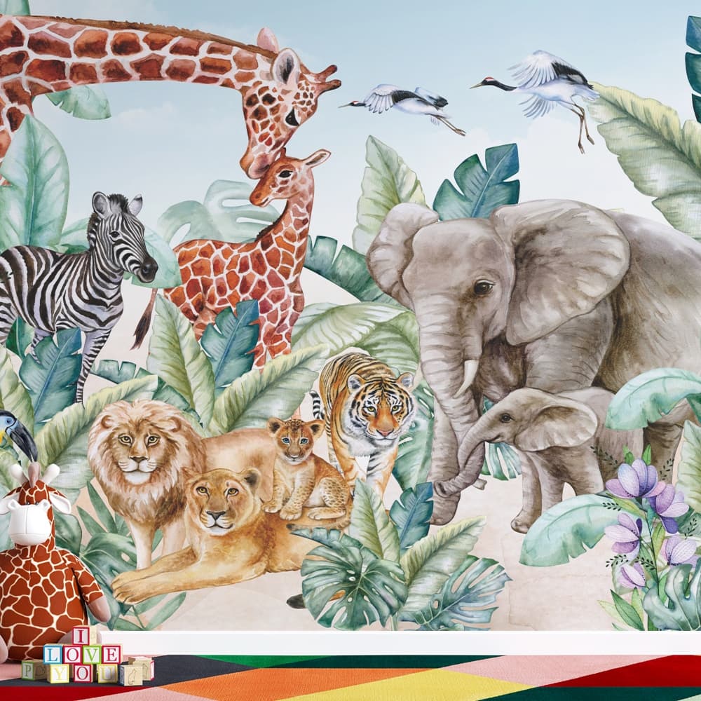 Safari